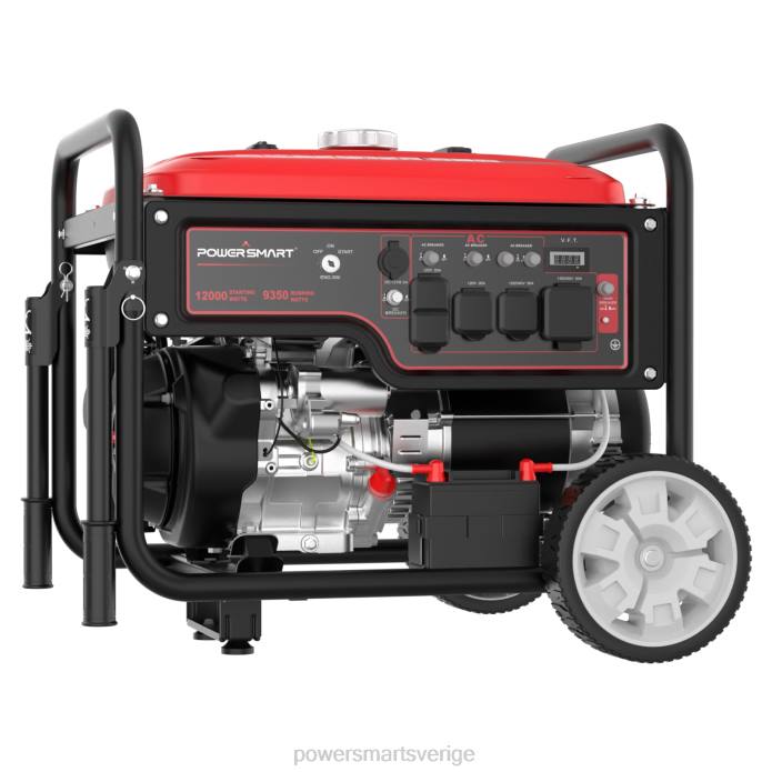 PowerSmart 12000w gasgenerator db5095 DD6V28 generatorer