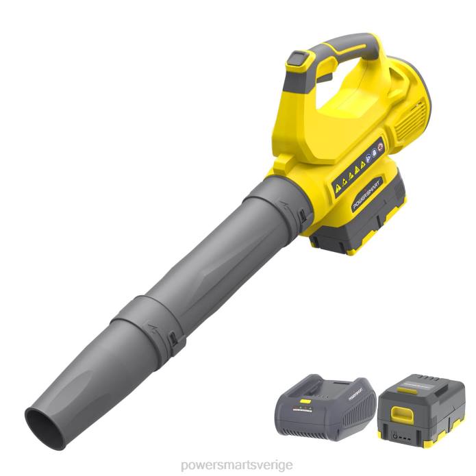 PowerSmart 450cfm sladdlös lövblås med 40v 4.0ah batteri och laddare ps76220a DD6V42 verktyg